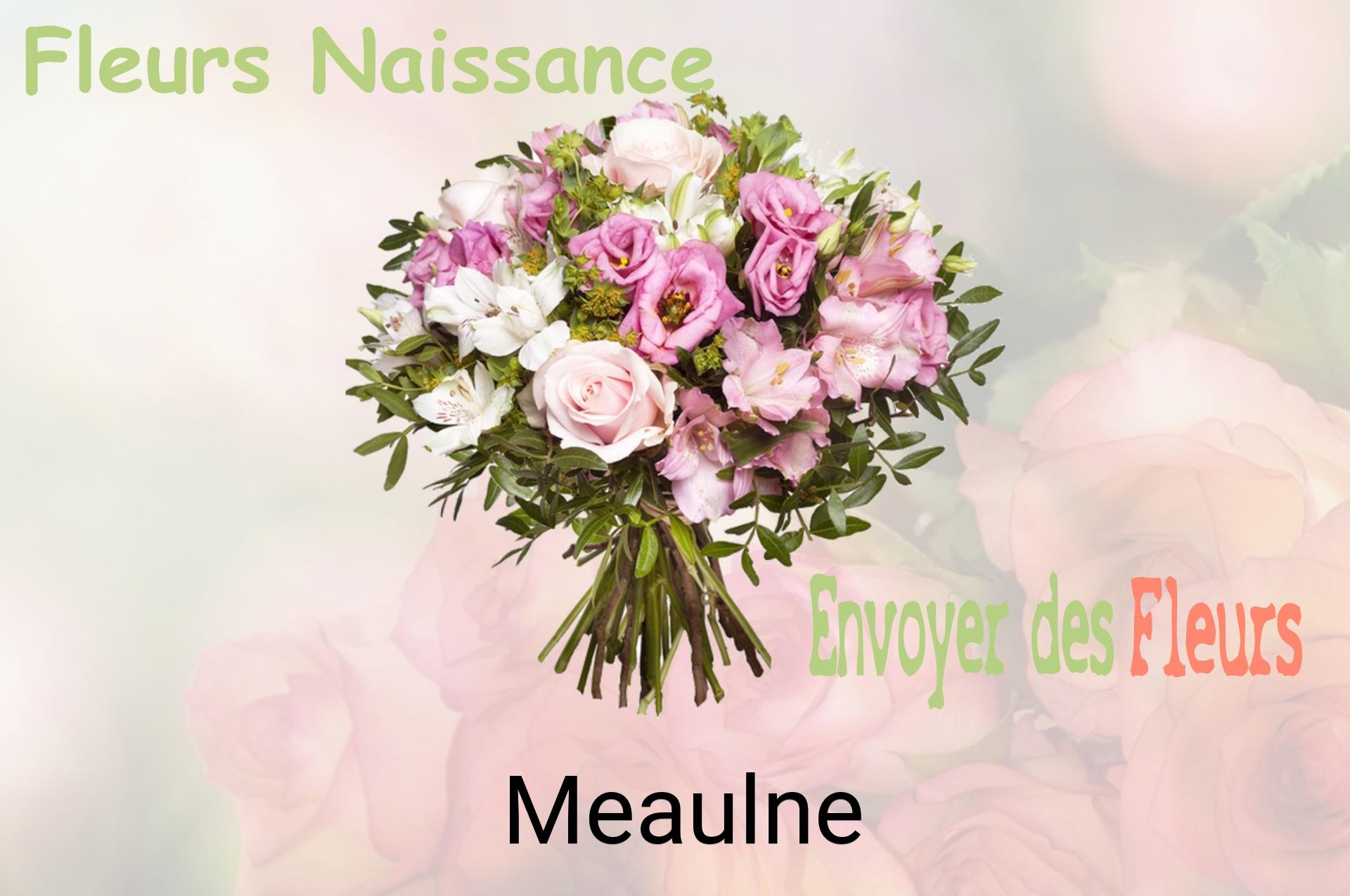 Bouquet de fleurs de naissance livré à Meaulne